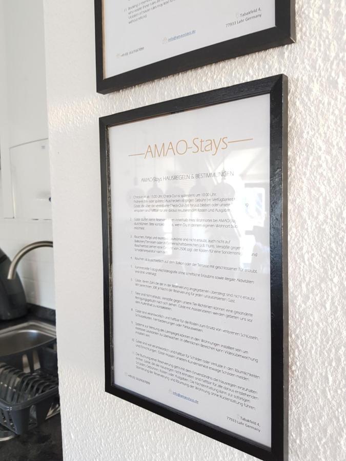 Amao-Green I 90Qm I Penthouse Maisonette Mit Rooftop I City Center I King-Size Betten Lahr  Luaran gambar