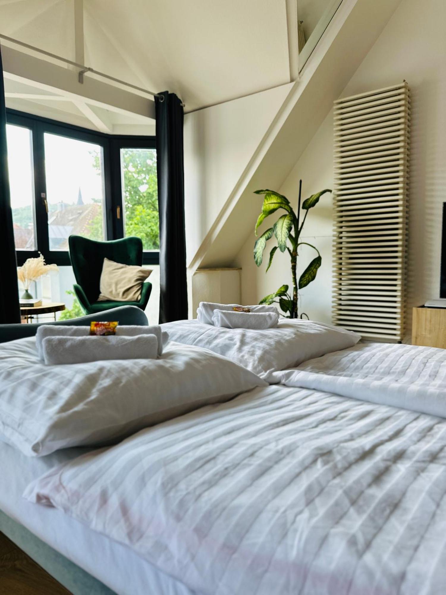 Amao-Green I 90Qm I Penthouse Maisonette Mit Rooftop I City Center I King-Size Betten Lahr  Luaran gambar